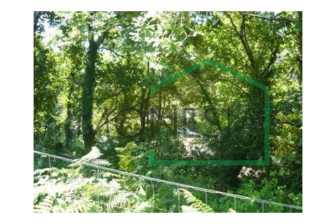 Farm i Caminha, Viana do Castelo, Caminha - € 600.000 | Ref: 1736 - foto 20