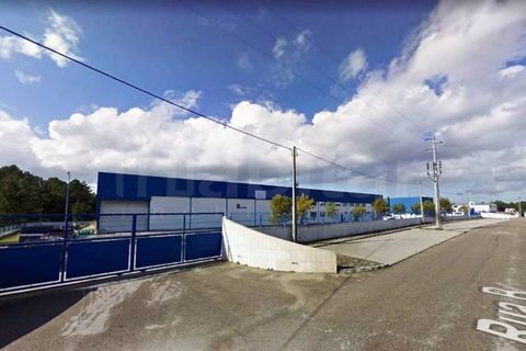 Erhvervsejendom i Muge, Santarem, Muge - € 1.190.000 | Ref: HB3403 - foto 1