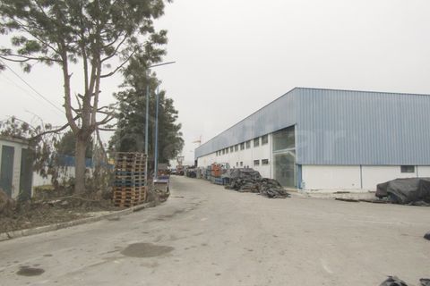 Erhvervsejendom i Muge, Santarem, Muge - € 1.190.000 | Ref: HB3403 - foto 2