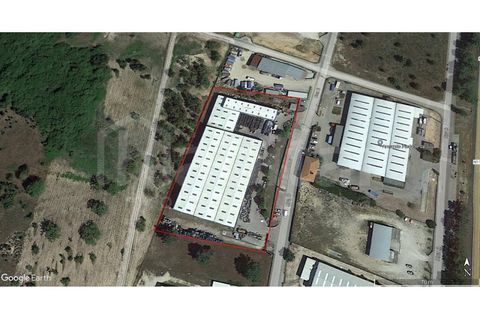 Erhvervsejendom i Muge, Santarem, Muge - € 1.190.000 | Ref: HB3403 - foto 3