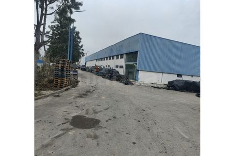 Erhvervsejendom i Muge, Santarem, Muge - € 1.190.000 | Ref: HB3403 - foto 6