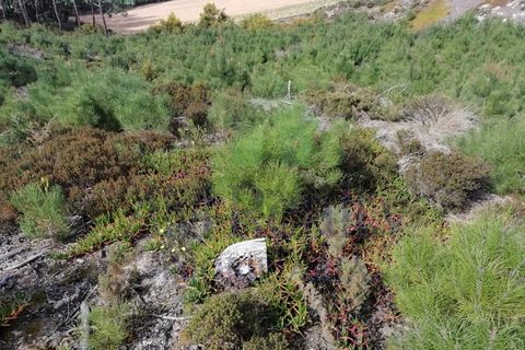 Helårsgrund i Obidos, Leiria, Obidos - € 650.000 | Ref: GS.936/2022 - foto 4