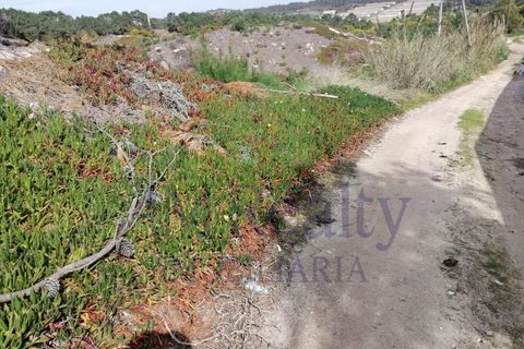 Helårsgrund i Obidos, Leiria, Obidos - € 650.000 | Ref: GS.936/2022 - foto 5