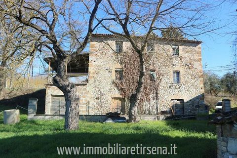 Farm hus i Orvieto, Terni, Orvieto - € 120.000 | Ref: CS446 - foto 4