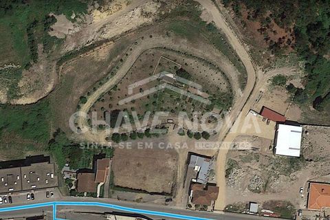 Helårsgrund i Paredes, Porto, Paredes - € 375.000 | Ref: OD/01440 - foto 4