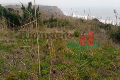 Helårsgrund i Santo Onofre e Serra do Bouro, Leiria, Santo Onofre e Serra do Bouro - € 42.500 | Ref: 145.22 - foto 2