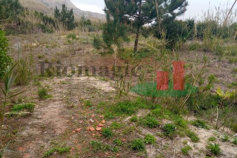 Helårsgrund i Santo Onofre e Serra do Bouro, Leiria, Santo Onofre e Serra do Bouro - € 42.500 | Ref: 145.22 - foto 3
