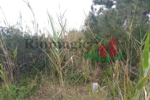 Helårsgrund i Santo Onofre e Serra do Bouro, Leiria, Santo Onofre e Serra do Bouro - € 42.500 | Ref: 145.22 - foto 5