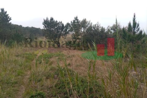 Helårsgrund i Santo Onofre e Serra do Bouro, Leiria, Santo Onofre e Serra do Bouro - € 42.500 | Ref: 145.22 - foto 7