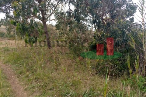 Helårsgrund i Santo Onofre e Serra do Bouro, Leiria, Santo Onofre e Serra do Bouro - € 42.500 | Ref: 145.22 - foto 10