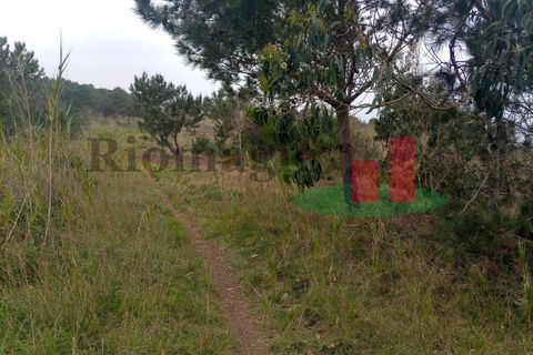 Helårsgrund i Santo Onofre e Serra do Bouro, Leiria, Santo Onofre e Serra do Bouro - € 42.500 | Ref: 145.22 - foto 1