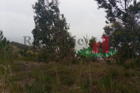 Helårsgrund i Santo Onofre e Serra do Bouro, Leiria, Santo Onofre e Serra do Bouro - € 42.500 | Ref: 145.22 - foto 9