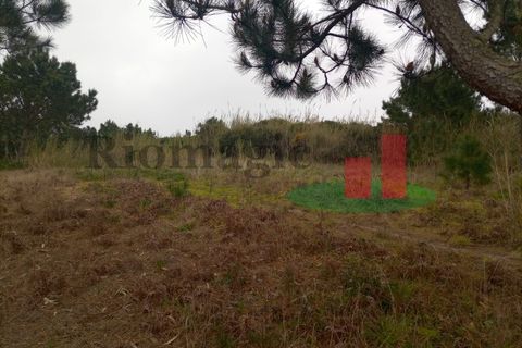 Helårsgrund i Santo Onofre e Serra do Bouro, Leiria, Santo Onofre e Serra do Bouro - € 42.500 | Ref: 145.22 - foto 14