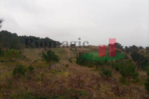 Helårsgrund i Santo Onofre e Serra do Bouro, Leiria, Santo Onofre e Serra do Bouro - € 42.500 | Ref: 145.22 - foto 12