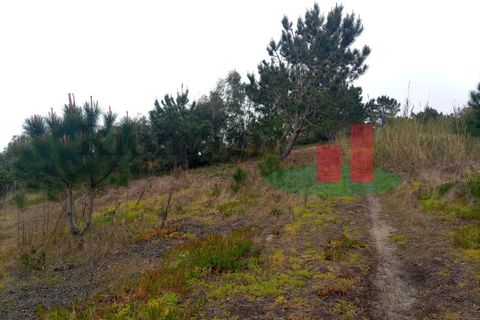 Helårsgrund i Santo Onofre e Serra do Bouro, Leiria, Santo Onofre e Serra do Bouro - € 42.500 | Ref: 145.22 - foto 15