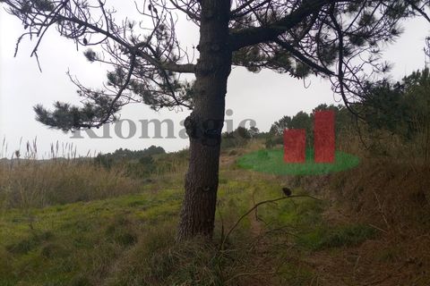 Helårsgrund i Santo Onofre e Serra do Bouro, Leiria, Santo Onofre e Serra do Bouro - € 42.500 | Ref: 145.22 - foto 16