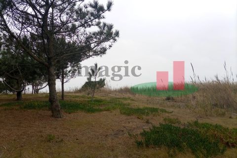 Helårsgrund i Santo Onofre e Serra do Bouro, Leiria, Santo Onofre e Serra do Bouro - € 42.500 | Ref: 145.22 - foto 18