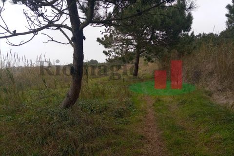 Helårsgrund i Santo Onofre e Serra do Bouro, Leiria, Santo Onofre e Serra do Bouro - € 42.500 | Ref: 145.22 - foto 17