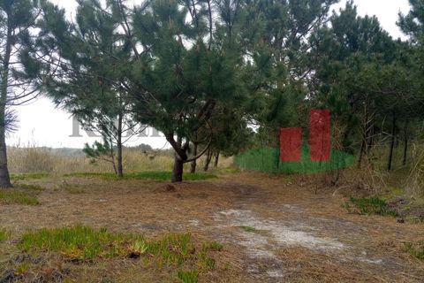 Helårsgrund i Santo Onofre e Serra do Bouro, Leiria, Santo Onofre e Serra do Bouro - € 42.500 | Ref: 145.22 - foto 4