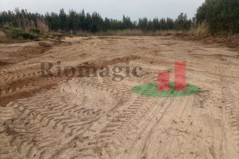 Helårsgrund i Santo Onofre e Serra do Bouro, Leiria, Santo Onofre e Serra do Bouro - € 37.500 | Ref: 144.22 - foto 9