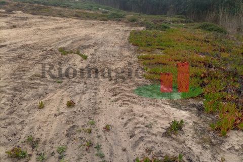 Helårsgrund i Santo Onofre e Serra do Bouro, Leiria, Santo Onofre e Serra do Bouro - € 37.500 | Ref: 144.22 - foto 8