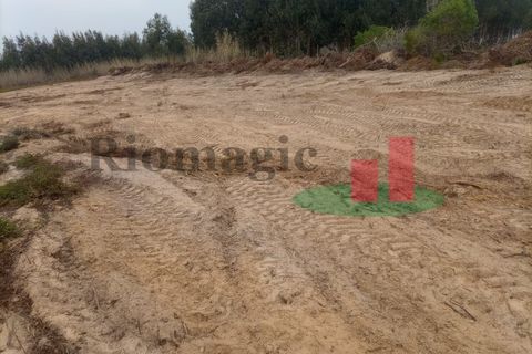 Helårsgrund i Santo Onofre e Serra do Bouro, Leiria, Santo Onofre e Serra do Bouro - € 37.500 | Ref: 144.22 - foto 6