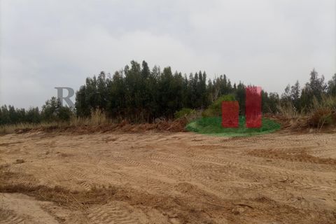 Helårsgrund i Santo Onofre e Serra do Bouro, Leiria, Santo Onofre e Serra do Bouro - € 37.500 | Ref: 144.22 - foto 11