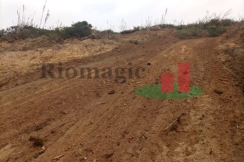 Helårsgrund i Santo Onofre e Serra do Bouro, Leiria, Santo Onofre e Serra do Bouro - € 37.500 | Ref: 144.22 - foto 12