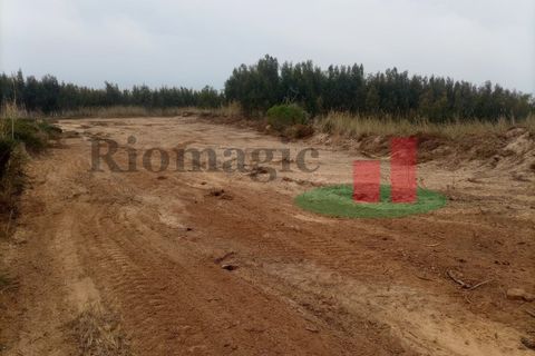 Helårsgrund i Santo Onofre e Serra do Bouro, Leiria, Santo Onofre e Serra do Bouro - € 37.500 | Ref: 144.22 - foto 14