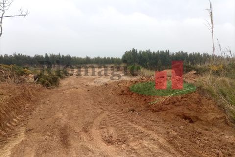 Helårsgrund i Santo Onofre e Serra do Bouro, Leiria, Santo Onofre e Serra do Bouro - € 37.500 | Ref: 144.22 - foto 4