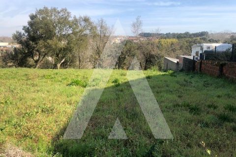 Helårsgrund i Anadia, Aveiro, Anadia - € 30.000 | Ref: 1050847/22 OB - foto 5