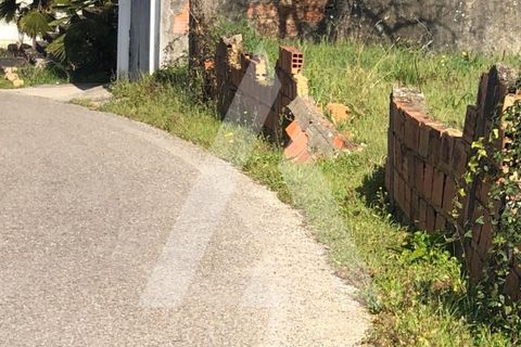 Helårsgrund i Anadia, Aveiro, Anadia - € 30.000 | Ref: 1050847/22 OB - foto 7
