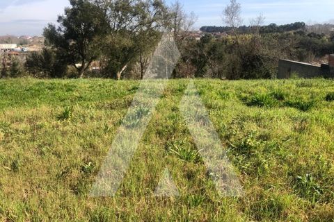 Helårsgrund i Anadia, Aveiro, Anadia - € 30.000 | Ref: 1050847/22 OB - foto 11
