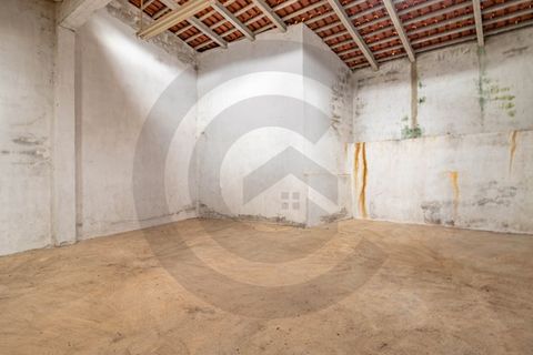 Erhvervsejendom i Minde, Santarem, Minde - € 24.000 | Ref: C0269-01240 - foto 6