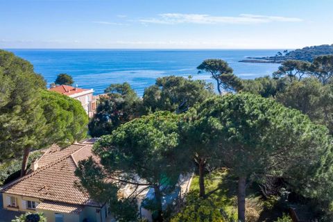 Villa i Antibes, Alpes-Maritimes, Antibes - € 3.000.000 | Ref: 6285332 - foto 8