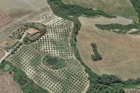 Landejendom i Pienza, Siena, Pienza - € 1.950.000 | Ref: DIC.5342 - foto 6