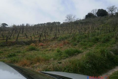 Helårsgrund i Rosignano Marittimo, Livorno, Rosignano Marittimo - € 120.000 | Ref: F0237 - foto 1