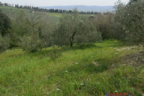 Helårsgrund i Rosignano Marittimo, Livorno, Rosignano Marittimo - € 120.000 | Ref: F0237 - foto 5