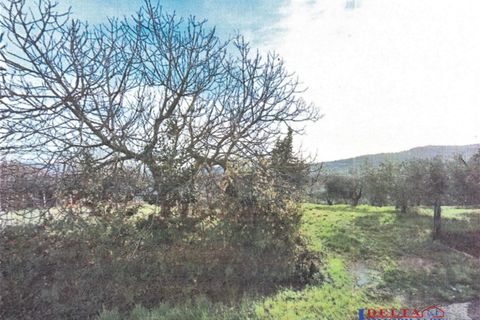 Helårsgrund i Rosignano Marittimo, Livorno, Rosignano Marittimo - € 20.000 | Ref: P1020 - foto 1