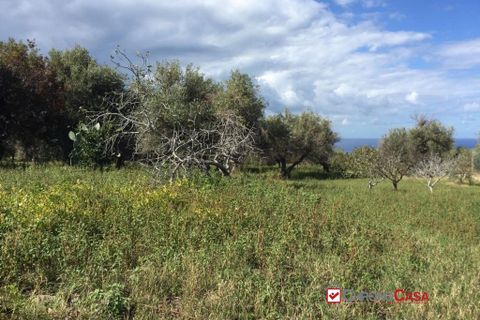 Helårsgrund i Messina, Messina, Messina - € 68.000 | Ref: EOZ-4615 - foto 7