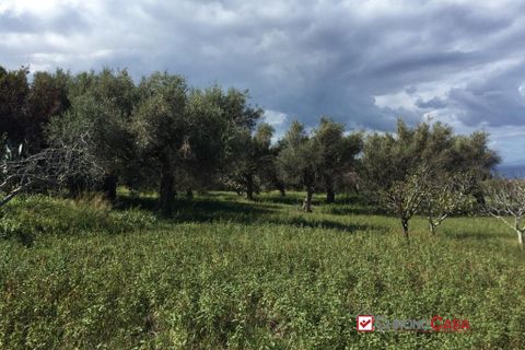 Helårsgrund i Messina, Messina, Messina - € 68.000 | Ref: EOZ-4615 - foto 8