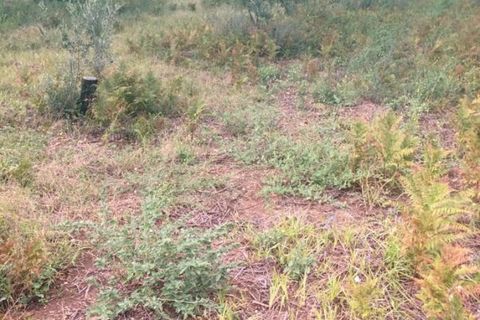 Helårsgrund i Messina, Messina, Messina - € 14.000 | Ref: TSF-5023 - foto 2