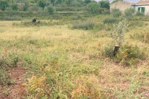 Helårsgrund i Messina, Messina, Messina - € 14.000 | Ref: TSF-5023 - foto 3