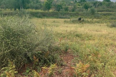 Helårsgrund i Messina, Messina, Messina - € 14.000 | Ref: TSF-5023 - foto 4