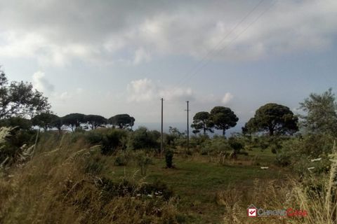 Helårsgrund i Messina, Messina, Messina - € 14.000 | Ref: TSF-5023 - foto 7