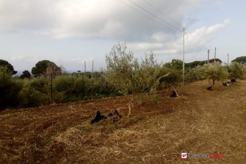Helårsgrund i Messina, Messina, Messina - € 14.000 | Ref: TSF-5023 - foto 8