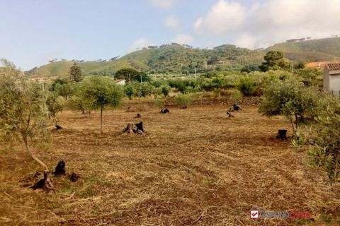 Helårsgrund i Messina, Messina, Messina - € 14.000 | Ref: TSF-5023 - foto 9