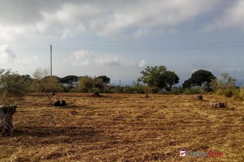 Helårsgrund i Messina, Messina, Messina - € 14.000 | Ref: TSF-5023 - foto 10