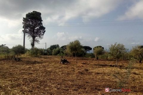 Helårsgrund i Messina, Messina, Messina - € 14.000 | Ref: TSF-5023 - foto 12