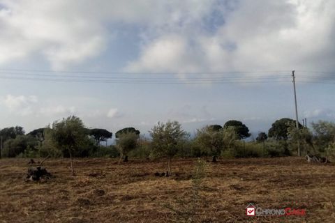 Helårsgrund i Messina, Messina, Messina - € 14.000 | Ref: TSF-5023 - foto 13